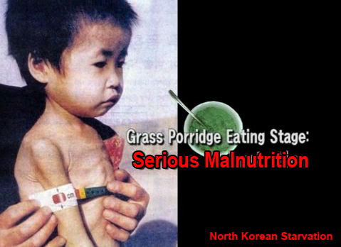  Famine in North Korea